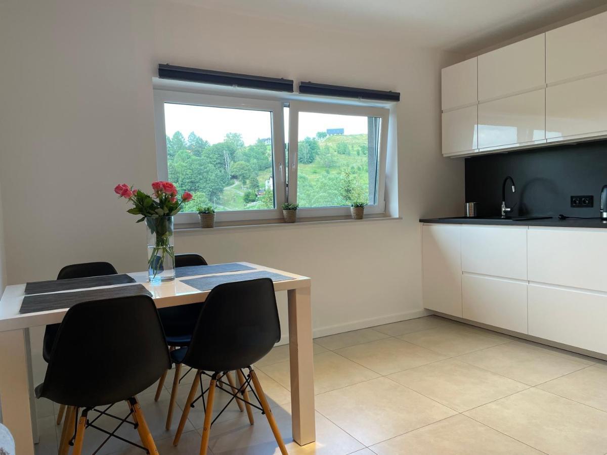 Apartament Z Klimatem II Wisła Kültér fotó