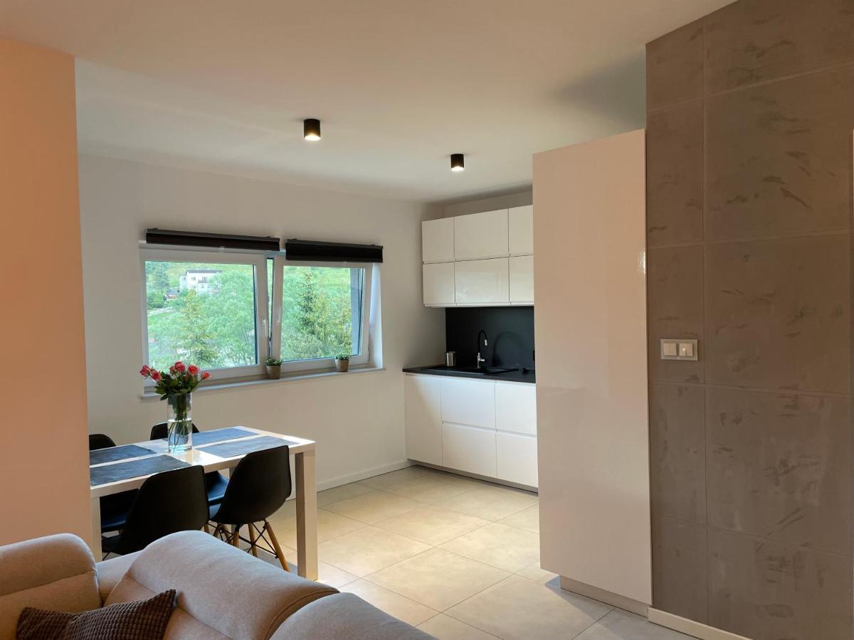 Apartament Z Klimatem II Wisła Kültér fotó